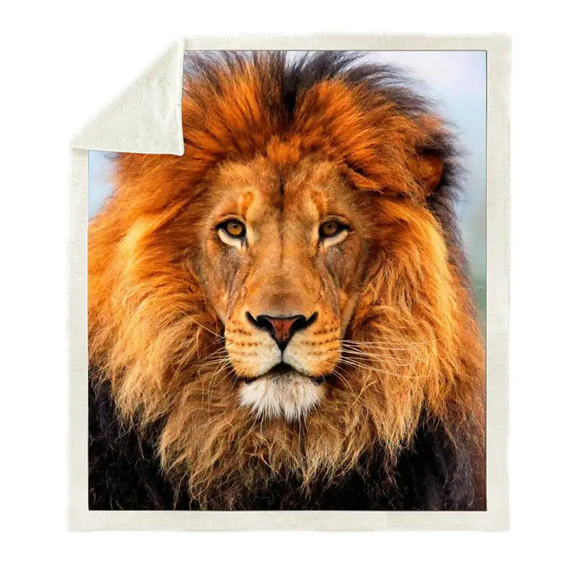 Sofa-Cushion-Yoga-Mat-Blanket-Picnic-Back-To-School-Blanket-Thick-Double-layer-Plush-Animal-Cat (3)