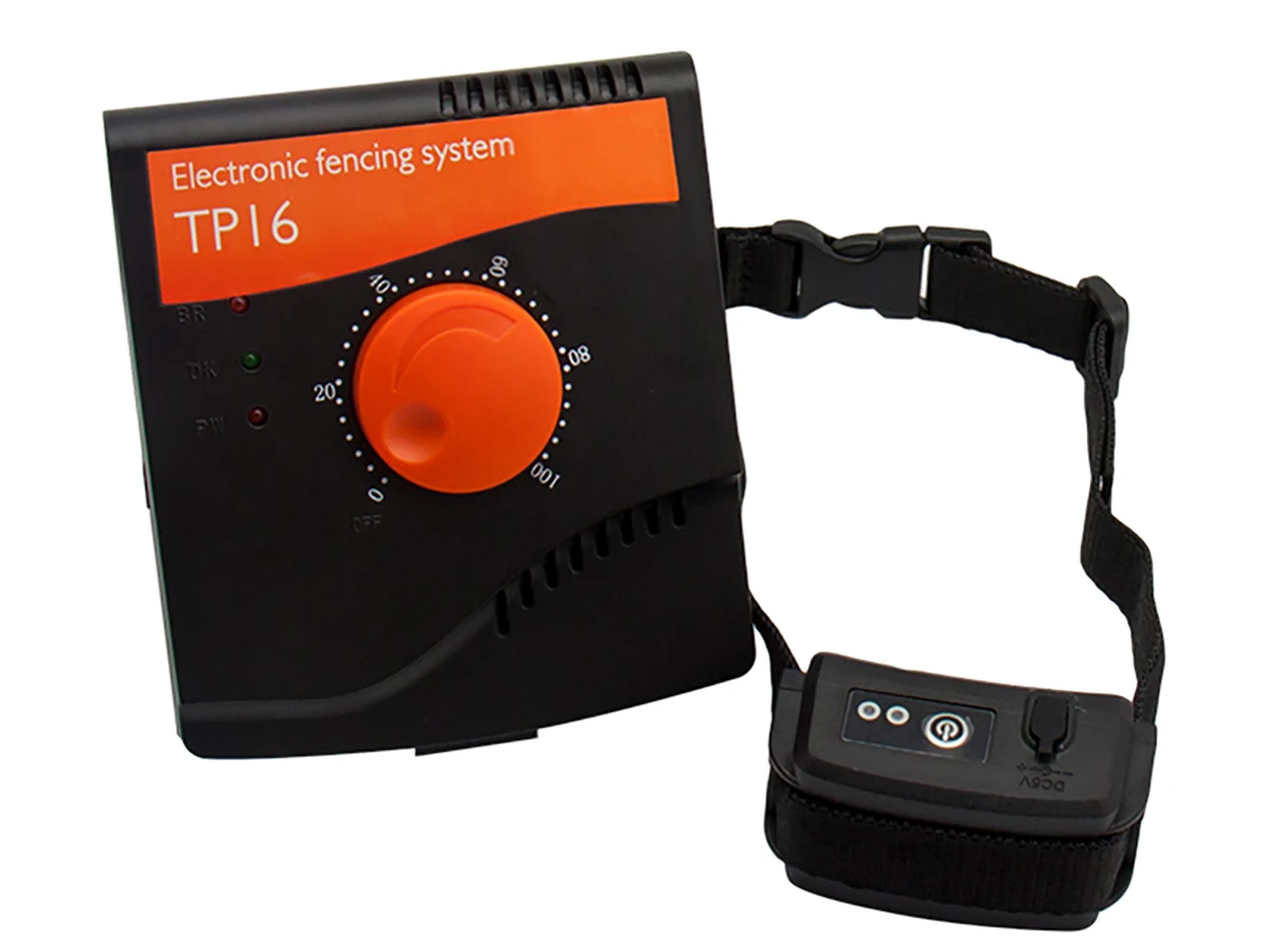 Electronicfencewithcolardogsawz016invisiblefencefordogs