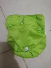 Pet-Physiological-Pants Underwear Diapers Dog Washable Female Short Puppy for Small Doggie