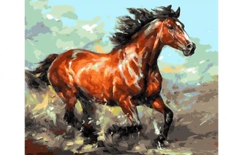 

Painting by numbers on canvas 40x50 cm "elegant horse" Red Cat q1465