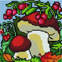 Алмазная мозаика BF 972 Грибы и ягоды 20*20