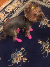 Zapatos para mascota de perro de lluvia, 4 unidades/lote S/M/L, botines de goma antideslizantes, impermeables, para perros y gatos