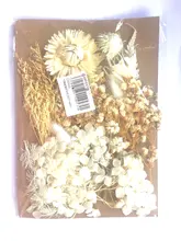 DIY flor seca para hacer moldes de resina, flor Real para empastes de resina para decoración de uñas, manualidad casera, moldes de resina, herramientas de fabricación