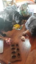 Cat-Toys Pet-Products Mice Catnip Animal Interactive