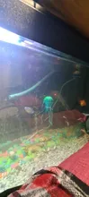 Underwater-Ornament Aquarium Silicone Jellyfish Fish-Tank Aquatic-Landscape Artificial