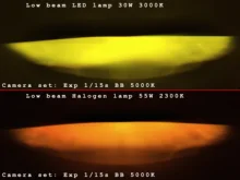 Faros antiniebla halógenos de alta potencia para coche, Bombilla H11 de 55w, 12V, 2300K, color dorado y amarillo, 55W, 2 uds.