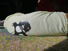 Ropa de verano para mascotas, Camiseta con estampado de flamenco para perro, chaleco para perros pequeños y medianos, accesorios para mascotas, chaleco para gatos, camisas, XS-2XL