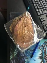 10pcs high quality Natural Terminalia Catappa Leaves,Indian almond Lour tree Olive leaf