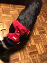 Adjustable Harness Dog-Accessories No-Pull-Vest Truelove Large Padded Pet-Dog Outdoor-Sport