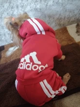 Traje para mascotas pequeñas y medianas, mono para cachorros, ideal para bulldog francés, chihuahua o pug