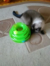 Toy Pet-Toy-Ball Carousel-Ball Track Cat-Supplies Three-Layer-Tower Baby Automatic