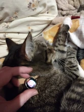 Llavero con diseño de galaxia y Planeta, cadena con colgante de doble cara con diseño de bola de cristal y sistema Solar a la moda, joyería universo