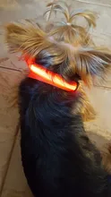 USB de carga Led Collar de perro Anti-perdido/evitar accidente de coche Collar para perros perro collares lleva LED suministra productos para mascotas
