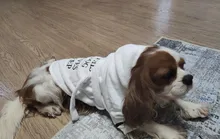 Bathrob Pet-Accessories Drying-Towel Dogs Puppy Soft Cat for Dog-Pajamas Indoor