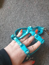 Leash-Set Harnesses Name-Tag Cats Kitten Customized Anti-Lost Nylon And with Blue Red