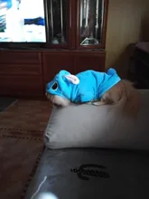 Jacket Hoodie Outfit Coat Animal-Costumes Pet Golden-Retriever Small Winter Large Medium