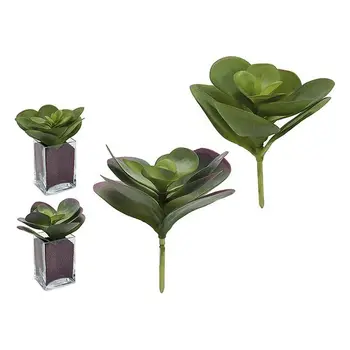 

Decorative Plant Ibergarden (18 x 20 x 18 cm)