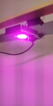 Led-Cob-Chip Flower-Growth-Lighting Indoor-Plant Full-Spectrum 220V Seedling 110V 