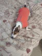 Coat-Jackets Fleece Vest Pug-Costumes Dogs French-Bulldog Chihuahua Winter Small Medium