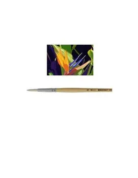 

BRUSH CLASSIC 5131 ROUND POINTED WHITE BRISTLE N ° 3/0 ESCODA