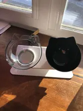 Cat-Bowl Stand Product-Supplies Dogs-Feeder Pet-Feeding Food Double Non-Slip with 