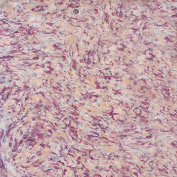 

Marble paint "" craft Premier "" 60 C., color: claretred plus-beige