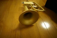 Instrumento Musical profesional Chapado en latón con estuche, Bb Tune Flugelhorn, producto Real, envío gratis