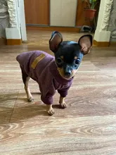 Clothing Sweater Pet-Outfit Small Dogs Classic Soft Winter For Dog Chihuahua Ropa Perro