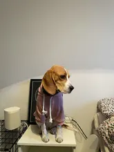 Dog Hoodies Jacket Costume Coat French Bulldog Chihuahua Winter for Pets-Clothing