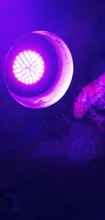 Grow-Bulb Phyto-Lamp Flower-Seedling Hydroponic Led-Plant GU10 MR16 Full-Spectrum 220V
