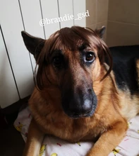 Alileader-flequillo suave y ligero, extensiones de cabello sintético, estilo de cabello, flequillo falso, más duradero