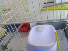 Fuente de Gato de 2L con luz azul, dispensador de agua automático alimentado por USB, alimentador de gatos, filtro de bebida para gatos y perros, proveedor de mascotas
