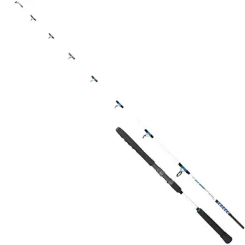 

Rod dragon boat master offshore Spinn 2.45m 60-150g chc-24-70-245