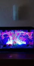 Aquarium Decorative Grass-Plant Fish-Tank Simulation PVC Environmental-Protection-Materials