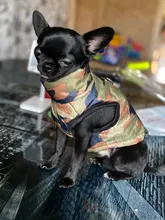 Pet-Clothing Jacket Apparel Costume Coat Puppy Dogs Chihuahua Winter 