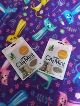 Cat-Toys Cattle-Grass Menthol-Flavor Organic Catnip Funny 100%Natural Care Clean-Teeth