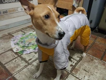 Winter Pet Dog Coat Jacket Thicken Warm Clothes For Dogs Waterproof Reflective Puppy