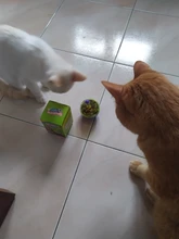 Bowl Feeder Food-Ball Tumbler Pets-Supplies Leakage Feeding-Toys Training Cat Exercise