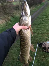 Lures Minnow Wobblers Floating Fishing-Lure Artificial-Baits Crankbait-Bass Carp Hard