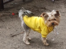 Ropa cálida de invierno Para Perro, Abrigo con capucha, disfraz de Perro, chaqueta de lana Para Bulldog Francés, Chihuahua