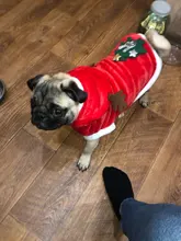 Christmas Dog Clothes Small Dogs Santa Costume for Pug Chihuahua Yorkshire Pet Cat Clothing