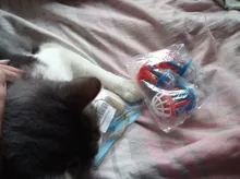 3pcs New Plush Simulation Mouse Cat Toy Plush Mouse Cat Scratch Bite Resistance Interactive