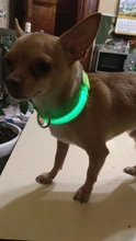 Collar LED de nailon para mascotas, fluorescente y luminoso, suministros para mascotas, correa de seguridad nocturna intermitente de seguridad que brilla en la oscuridad