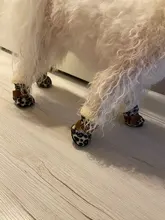 Botas impermeables para perros, zapatos para perros, antideslizantes, para cachorro, gato, lluvia, nieve, calzado para perros pequeños, Chihuahua, 4 Uds.