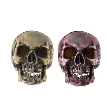 

Skull (20 x 15 cm) Light