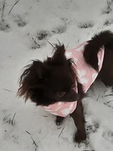 Puppy Outfit Vest Coat Dog-Jacket Pets Padded-Chihuahua Apparel-20 Small-Dogs Warm Winter