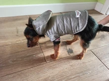 Coat Puppy Clothing Pet-Dog-Jacket Dogs Chihuahua Yorkshire Hoodies Outfit Small Winter