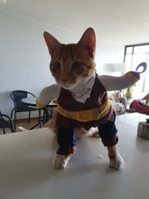 Funny Cat Costumes Pirate Suit Cat Clothes Kitty Kitten Corsair Halloween Costume Puppy