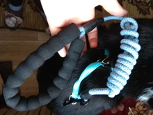 Breakaway Cat Collar Cute Bow Vests Cat Harness and Leash Cat Product Cat Accessories