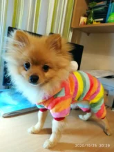 Pet Clothing Costume Outfit Pajamas Fleece Winter Apparel Small Warm 30 Four-Legs Jumpsuit